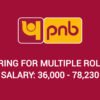 PNB Recruitment 2024 : Hiring for Multiple Roles